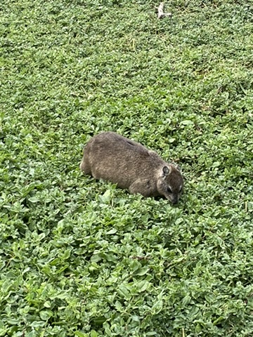 Capetown, South Africa